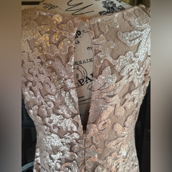 DRESS THE POPULATION Audrey Sequin
Lace Dress Blush Champagne Large Mother Bride - Picture 10 of 10